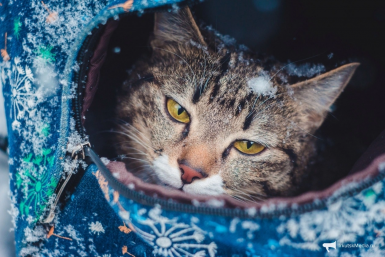 5812970.png?57facfa72305d4544c1e6211ec28a4ba