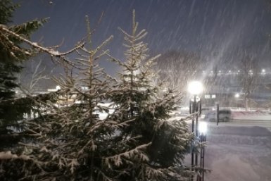 Новость дня