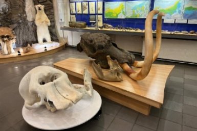 Новость дня