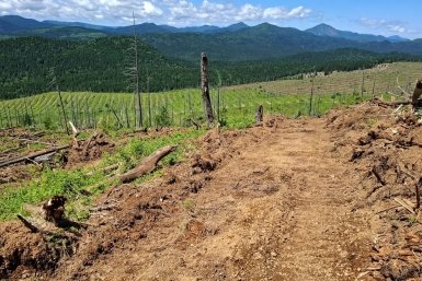 5819769.jpg?fa4a2e54c3d7c30c47917fcdfd8d1d2e