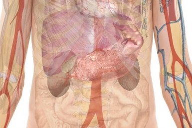 Гастроэнтеролог из ЕАО: Количество патологий ЖКТ растёт с пугающей скоростью