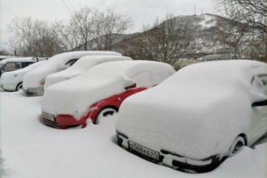 Новость дня