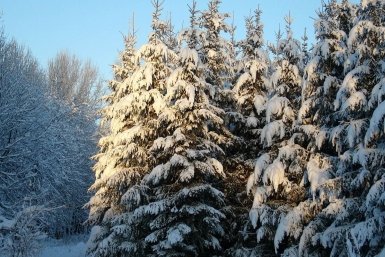 5823478.jpg?69fad32a3e7ea4fee716f535d6aaafd7