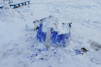 Новость дня