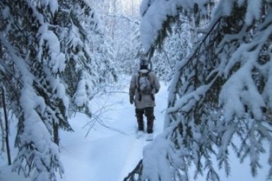 Новость дня