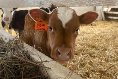 5829018.jpg?c33e3fd549ff3c7657c5395ed8304fc0