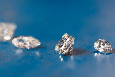 Новость дня