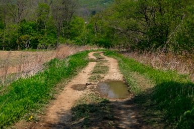 5831879.jpg?8a69f21db0bbf3a26099151ab172c9e0