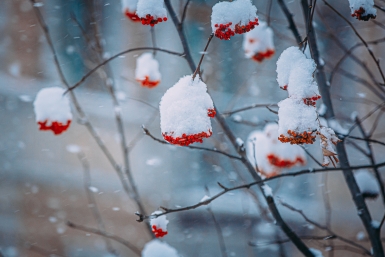 Новость дня