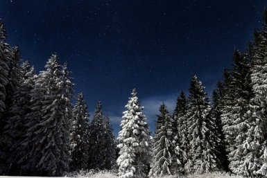 Новость дня