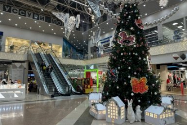 От елок до Деда Мороза-манекена: как магазины и ТЦ Уссурийска нарядились к Новому году