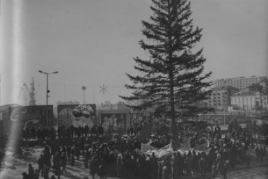 И вот они нарядные: истории главных ёлок Владивостока от СССР до наших дней