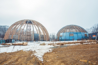 Новость дня