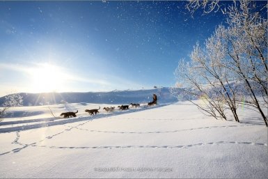Новость дня