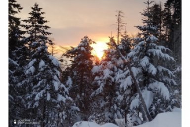 5846863.jpg?674afbafcc77f428e6a5f10b72b4433e