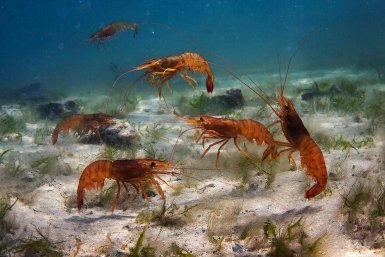 5849650.jpg?ef0889d8680b2b3a07c08258f6ea406b