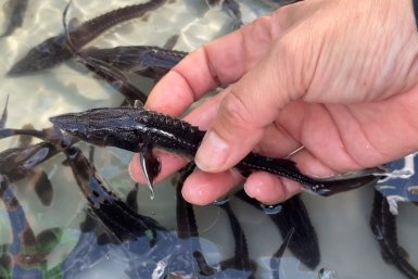 5854820.jpg?4ea6ef5b108f02555a0bf28981aa41c8