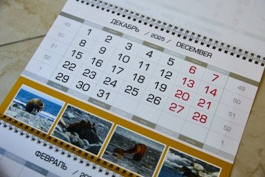 Новость дня