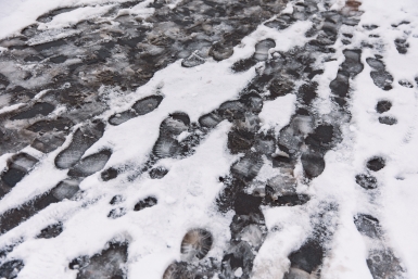 Новость дня