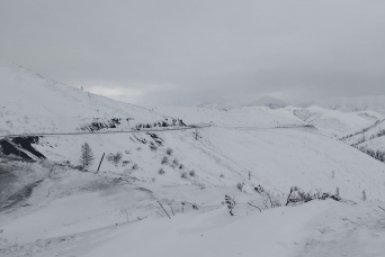 Новость дня