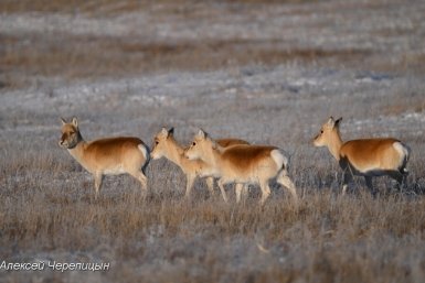 5859842.jpg?d1eface660136932420361f3ba4b36d1