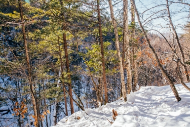 Новость дня