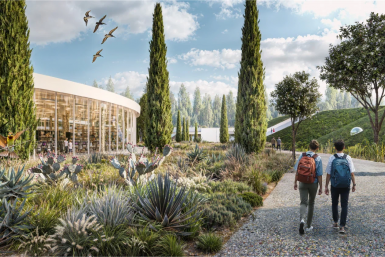 Новость дня