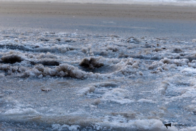 Новость дня