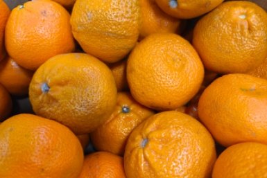 Новость дня