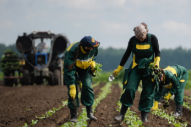 Новость дня