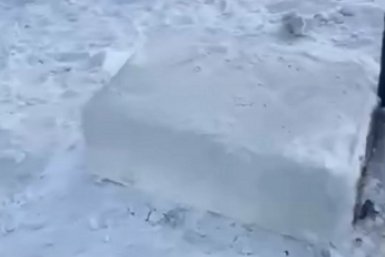 5881012.jpg?5a3604f0ec4d075eb4f93ed273916610