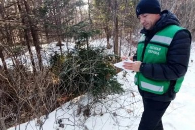 5882565.jpg?164824b8a4f6614e8f69ed9a4a129293