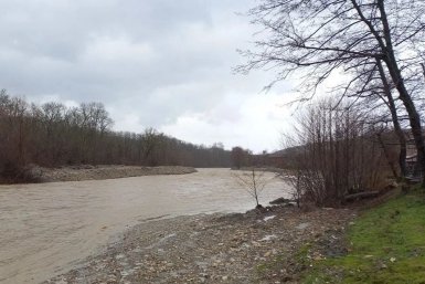 Новость дня