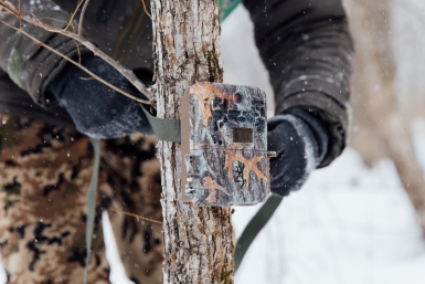 5885429.jpg?726cd5c340bab2dfa365ab43e8a14d92