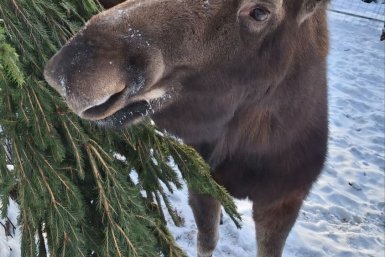 5886585.jpg?b8c4cc347056cbac1bf82cf1c6195730