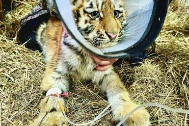 5886859.jpg?9016c5733dd4a25e1a3679dc7ed0214a