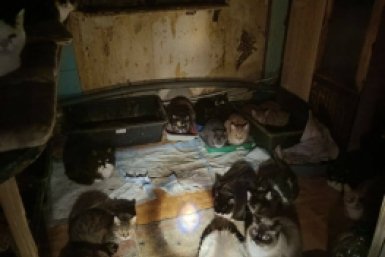 5888779.jpg?d0d5bb6df432d61afe016bef4192ac4d