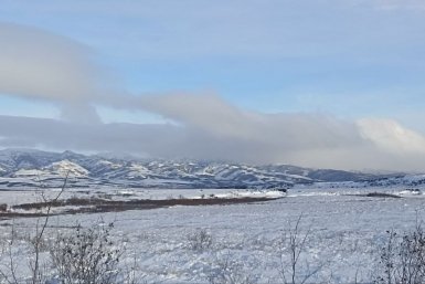 Новость дня