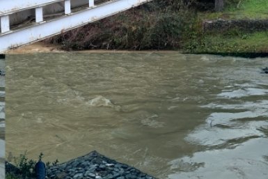 Новость дня