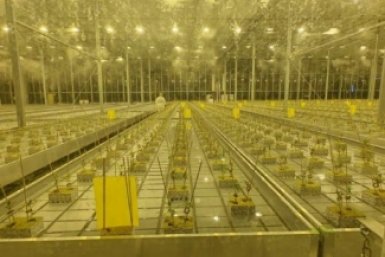 5893838.jpeg?943404ea9a13e039a5d9554822c30f92