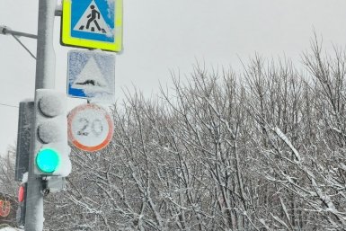 Новость дня