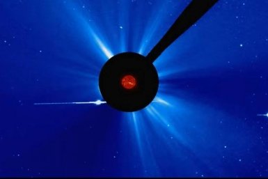 Новость дня