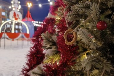 Вандалы в Приморье обгрызли украшения уже с двух елок в центре Уссурийска