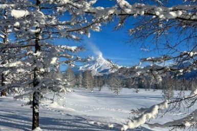 Новость дня