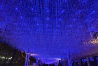 Светящийся тоннель останется на проспекте Октябрьской революции в Ставрополе