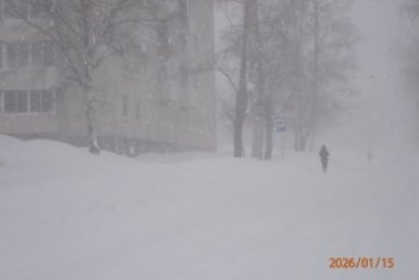 Новость дня