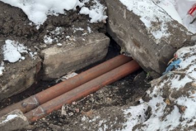 5900727.jpg?7e30cd773ca65dbbf18621805af81625