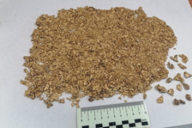 Новость дня