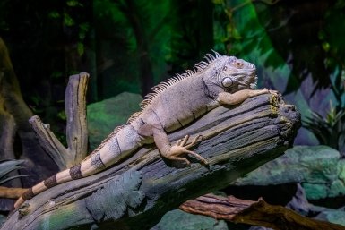 Новость дня