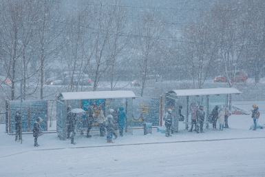 Новость дня